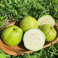 Pearl Guava( 200 Seeds)