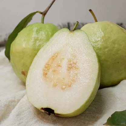 🎉(Nueva cosecha) Semillas de guayaba rosa orgánica | 🌼🌼Preparadas para una alta germinación (99% de germinación)-A-XA