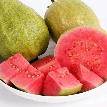 🎉(Nueva cosecha) Semillas de guayaba rosa orgánica | 🌼🌼Preparadas para una alta germinación (99% de germinación)-A-XA