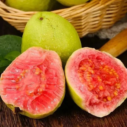 🎉(Nueva cosecha) Semillas de guayaba rosa orgánica | 🌼🌼Preparadas para una alta germinación (99% de germinación)-A-XA
